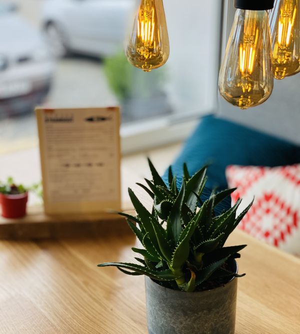 Moderne Beleuchtung mit Glühbirnen in gemütlicher Sitzecke im Restaurant Strandgut auf dem Stover Strand Campingplatz Hamburg nah.