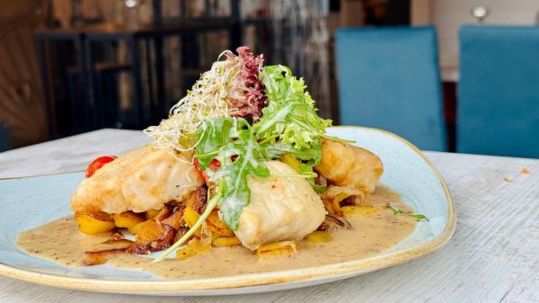 Frischer Fisch im Restaurant Strandgut auf dem Stover Strand Campingplatz Hamburg nah